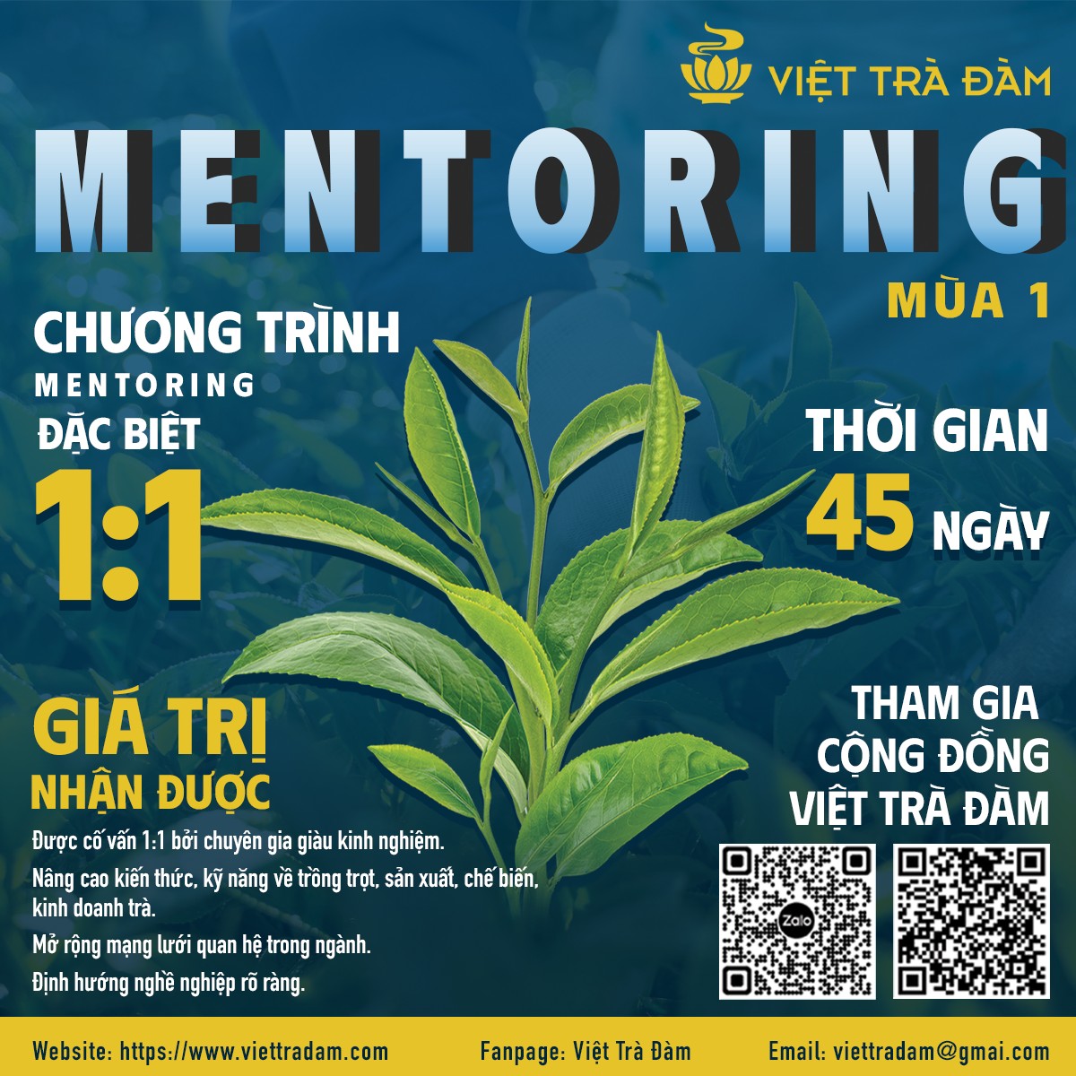 Mở đơn đăng Ký Việt Trà Đàm Mentoring 1 On 1 (mùa 1)